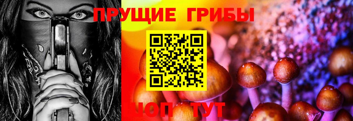 Псилоцибиновые грибы GOLDEN TEACHER  Псилоцибиновые грибы Cubensis  закладка  Воркута  Вход с VPN 