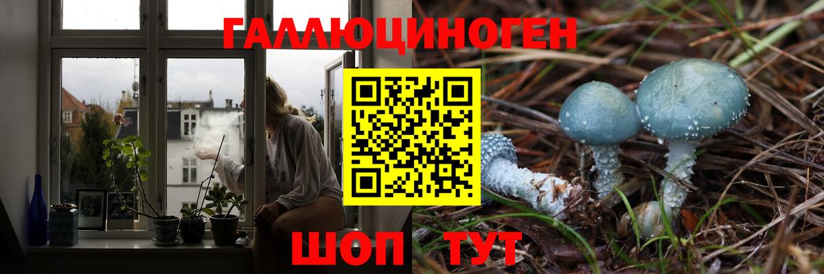 Галлюциногенные грибы Psilocybine cubensis Воркута